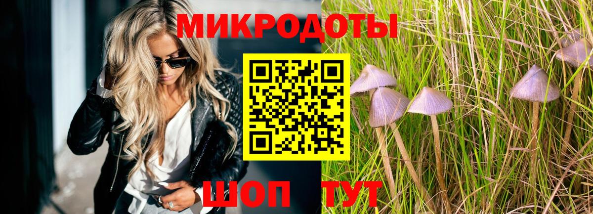 Галлюциногенные грибы мицелий  Галлюциногенные грибы мицелий  Вход с VPN  Сокол 